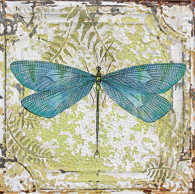 blue-dragonfly-on-vintage-tin-jean-plout
